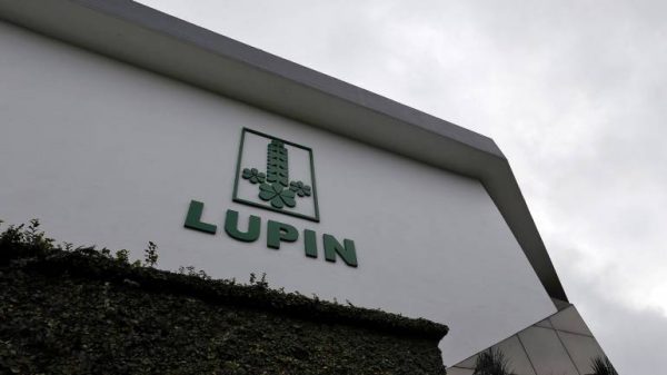 Lupin
