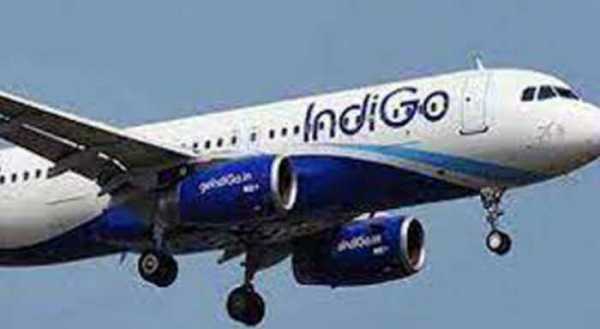 indigo resumes to and fro thailand flights indigo resumes to and fro thailand flights