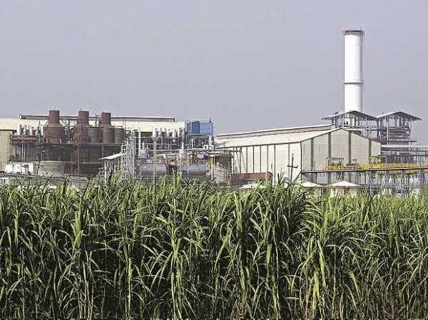 Bajaj Hindusthan Sugar Bajaj Hindusthan Sugar